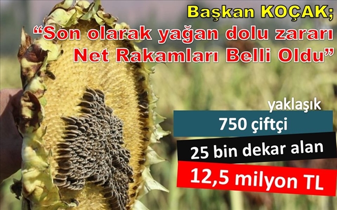 Aksaray´da 25 bin dekar arazide 12.5 milyonluk dolu ve sel zararı