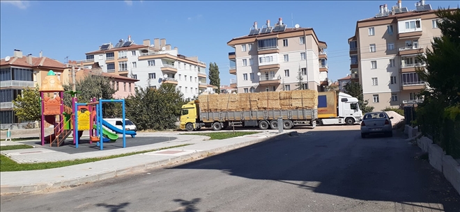 Cadde ve Sokaklara Park Edilen Tırlar ve Kamyonlar Tehlike Saçıyor