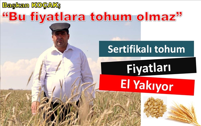 Başkan Koçak,