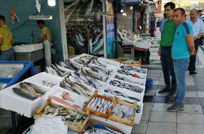Balıkçılar satışlardan memnun