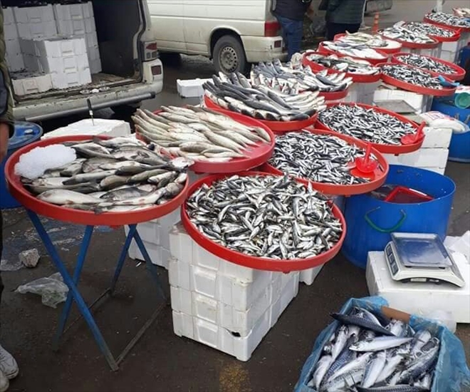 Aksaray´da balıkçı tezgahları şenlendi
