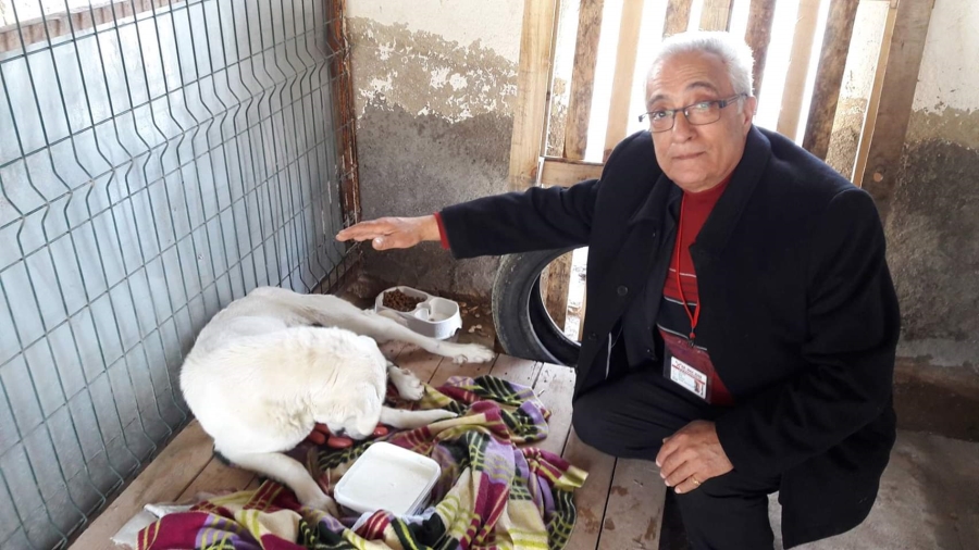Her gün beslediği sokak hayvanlarına çocukları gibi bakıyor
