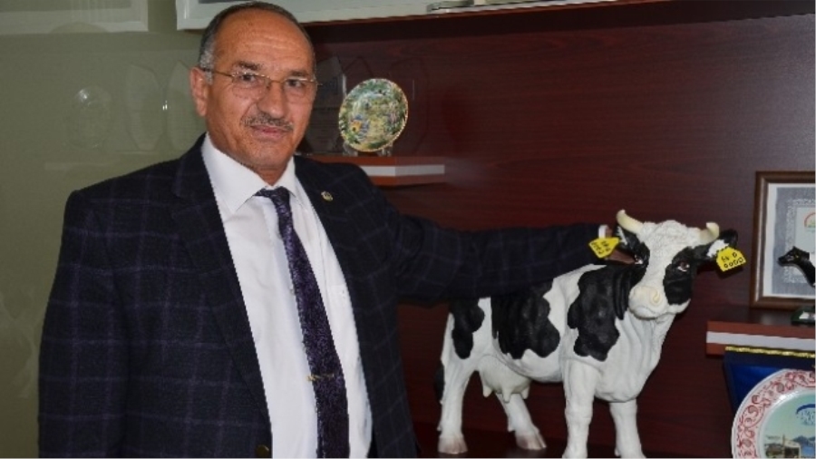 Buzağı küpelemeleri bedelsiz olmaya devam edecek
