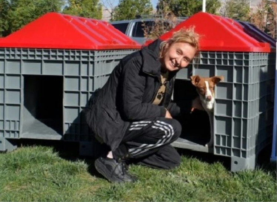 Proje gerçekleşirse Sokak köpekleri artık üşümeyecek