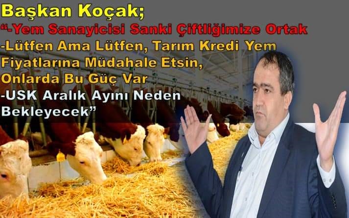Ziraat odası başkanı koçak:Yem sanayicisi çiftliğimize sanki ortak