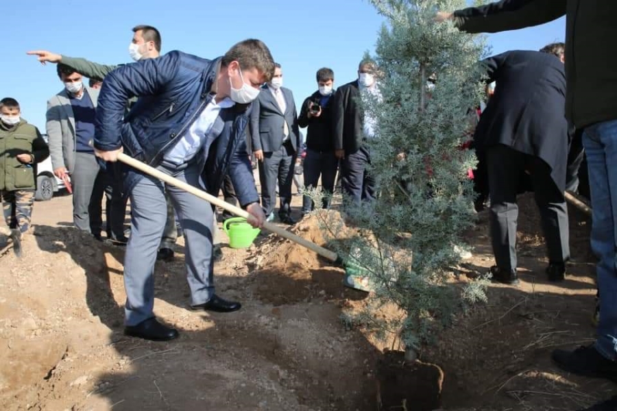 Aksaray’da 500 Bin fidan toprakla buluşturuluyor