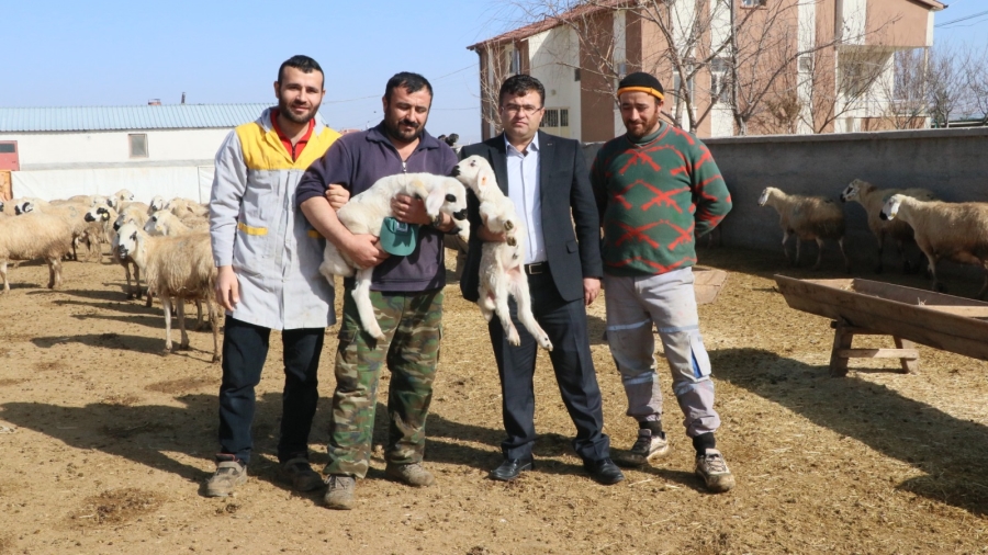Aksaray’da 