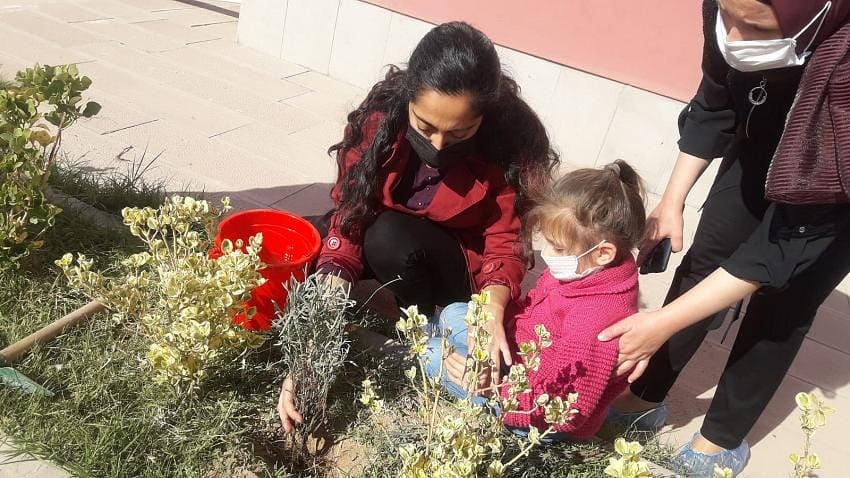 Ağaçlandırma Haftası başladı! 1 milyon fidan toprakla buluşacak