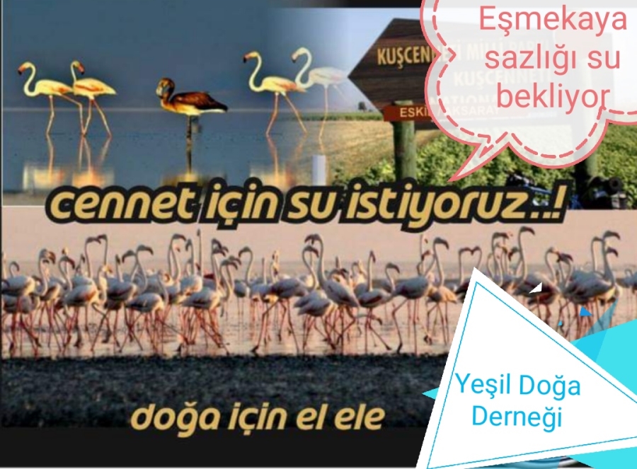 Yeşil Doğa Derneği susuzluğa dikkat çekti!