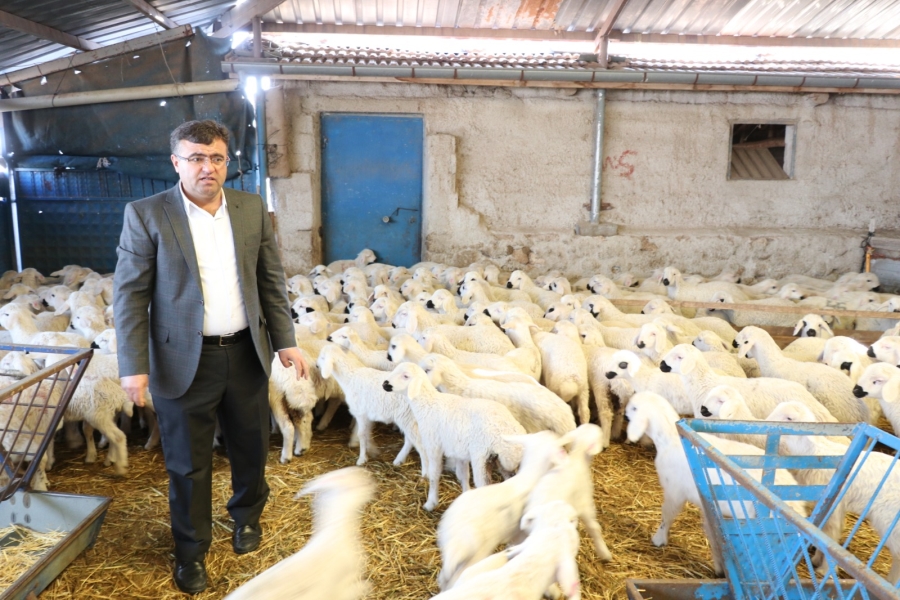 Başkan Aktürk, “Ata sporumuz güreş, ata mesleğimiz koyunculuk”