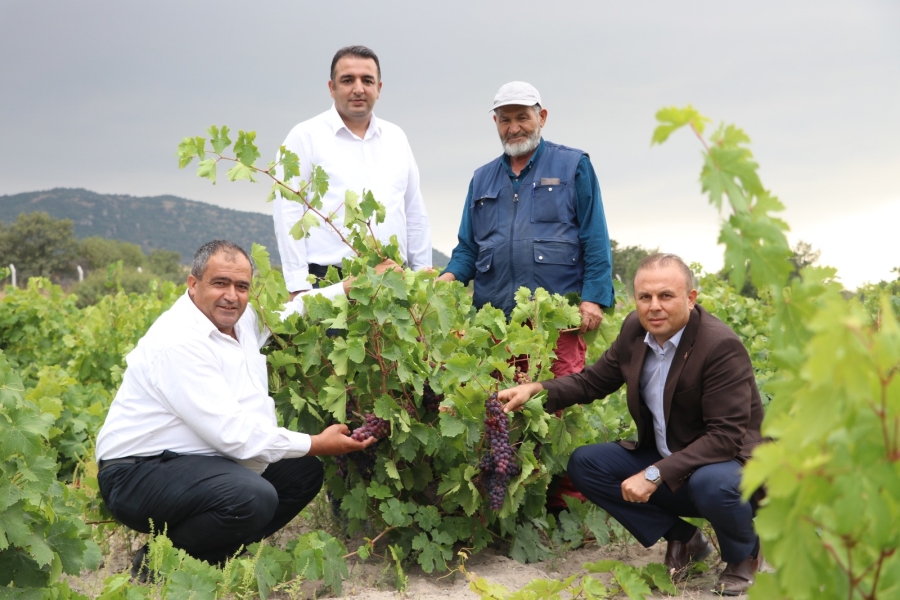 Aksaray’da tarım ve hayvancılık üretimi 16 yılda yüzde 1023 oranında artış gösterdi