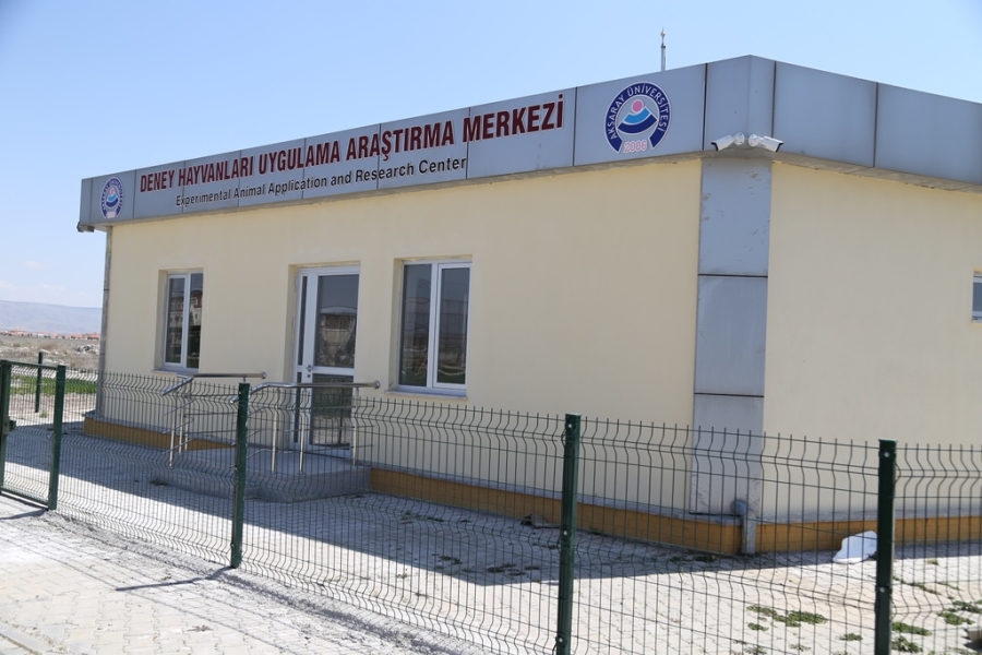 Deney hayvanları merkezi çalışmalara  başlıyor