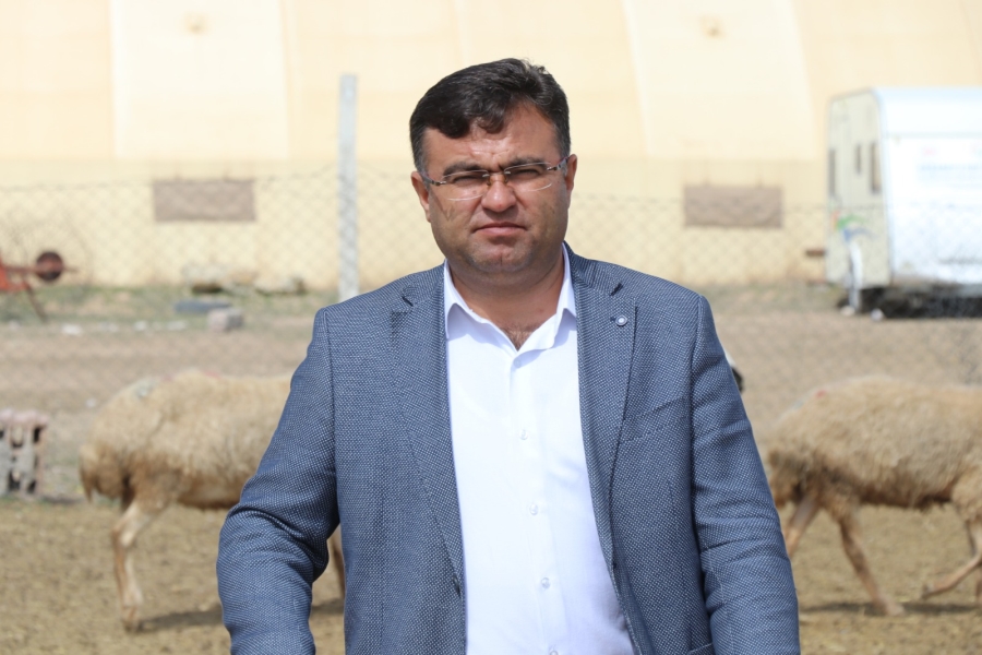 Türkiye’de 53 milyon hayvana 1 milyar 100 milyon destek ödemesi