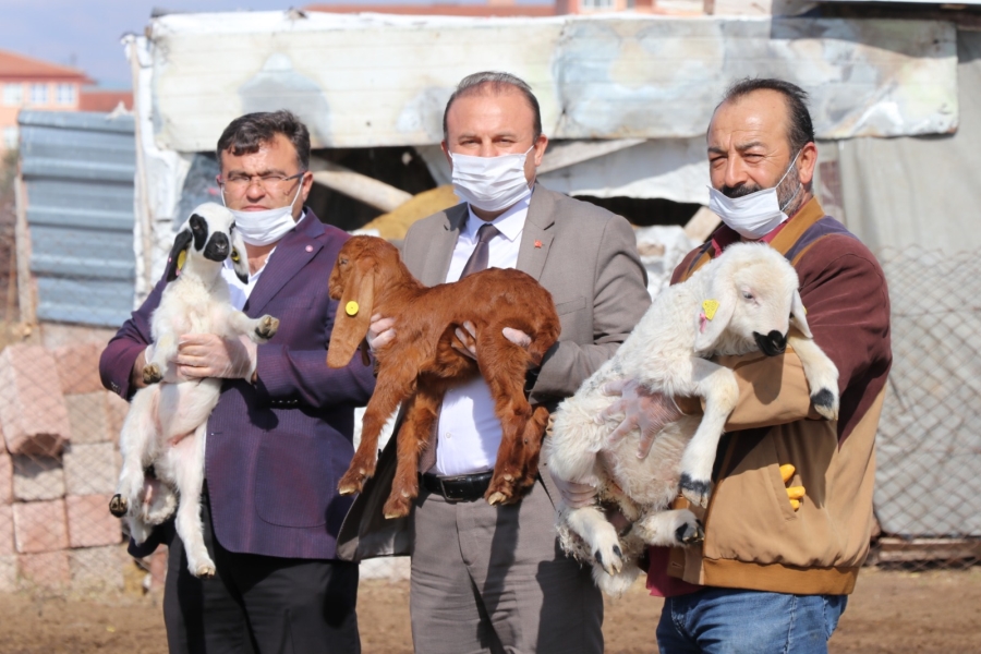 Tarımsal ve hayvansal üretim tüm hızıyla devam ediyor
