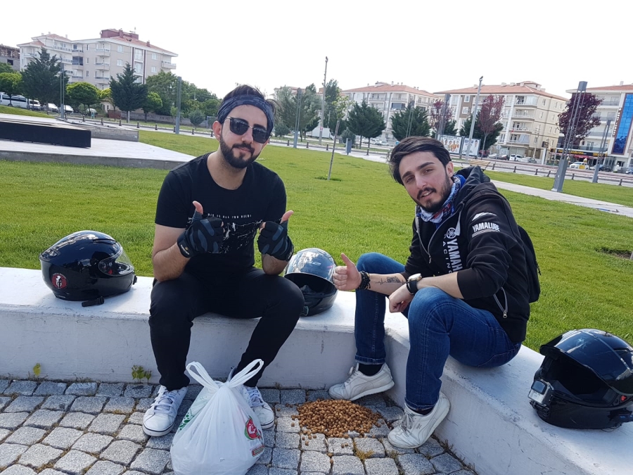 Aksaray Belediyesi Hayvansever Gençlerin Taleplerine Sessiz Kalmadı
