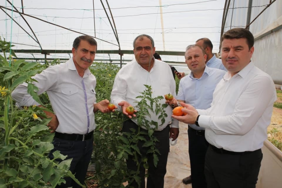 Devlet desteği ile yıllık 25 ton sebze üretimi gerçekleştiriyor