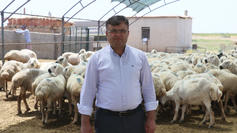 Mera tecavüzlerine hapis cezası