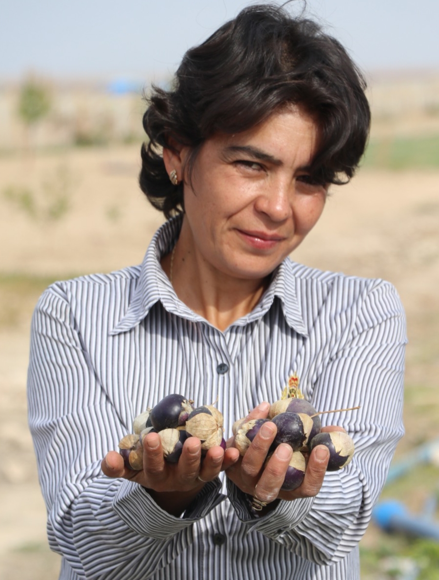 Yakalandığı meme kanserini kendi ürettiği organik Mor Çilekle yendi