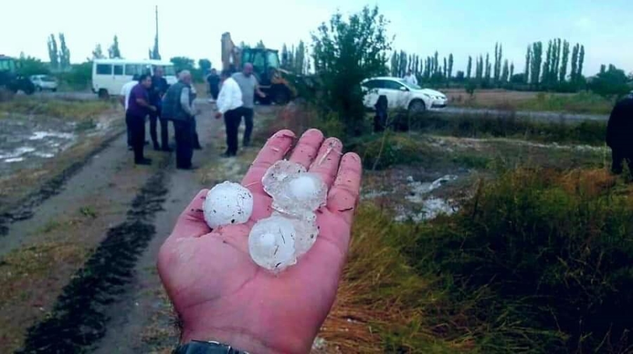Başkan Altınsoy:Zarar gören çiftçilerimiz için girişimde bulunduk