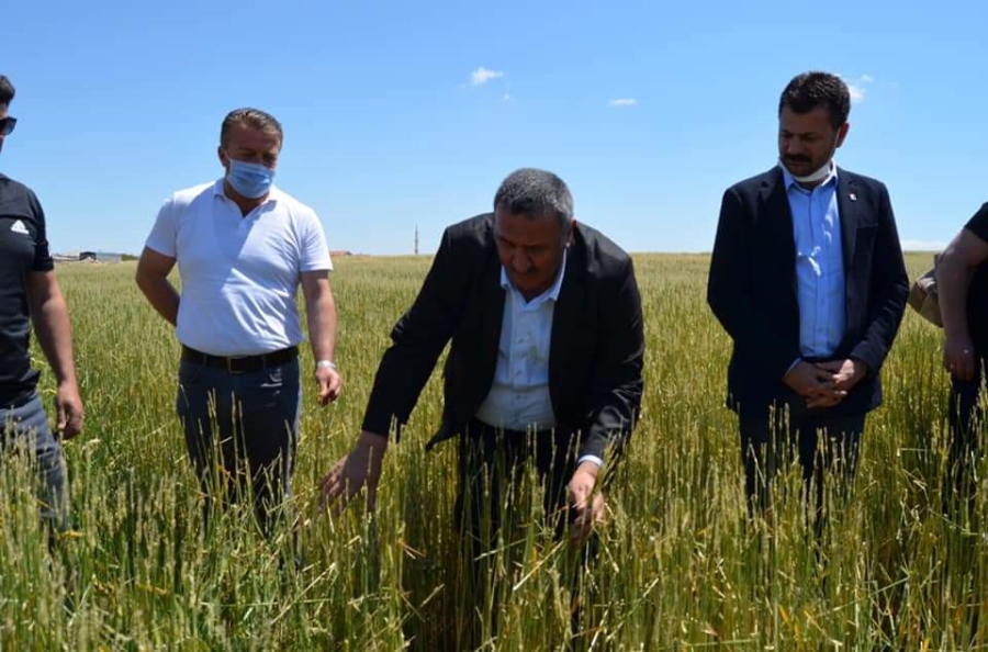 CHP Niğde Milletvekili Gürer,Aksaray