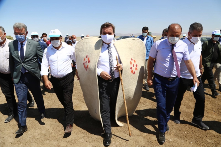 Aksaray