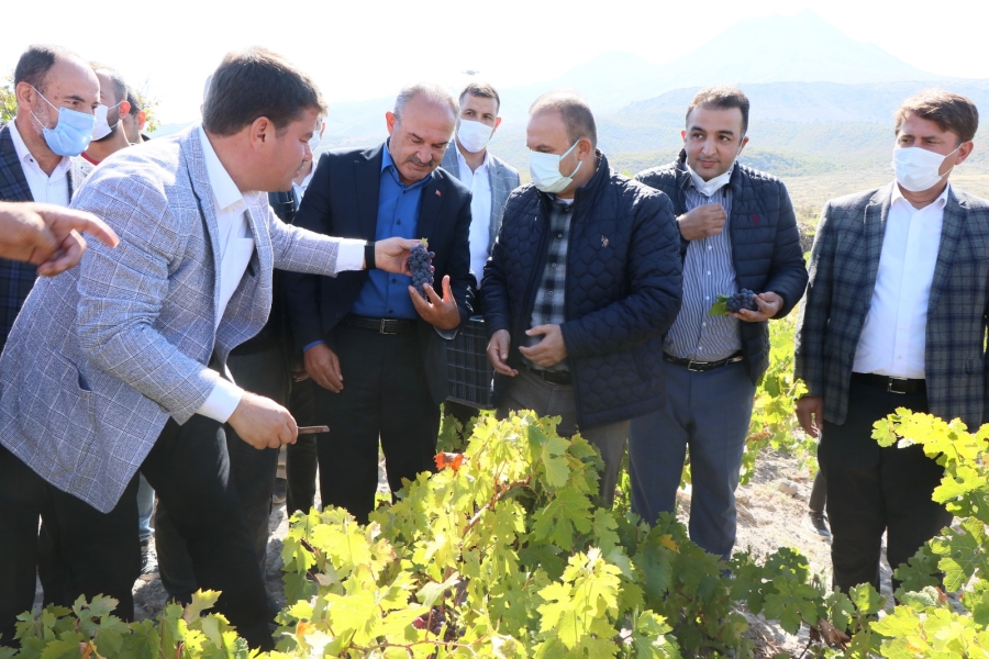 Aksaray’da festivalle bozulan bağlar pekmeze dönüştü