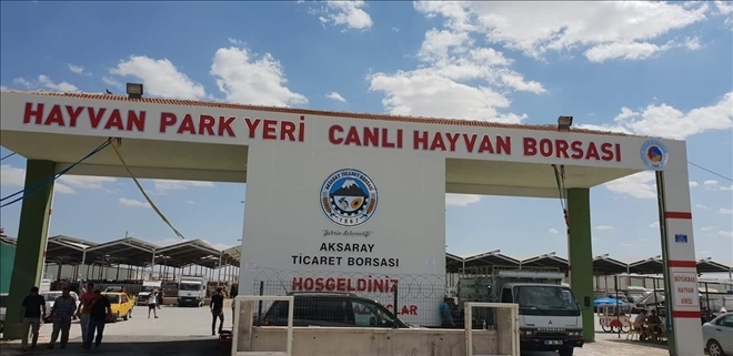 Aksaray Hayvan Pazarı yeniden açılıyor