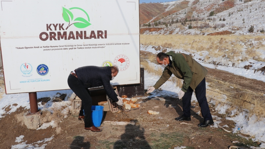 Sokak hayvanları beslenmeye devam ediliyor