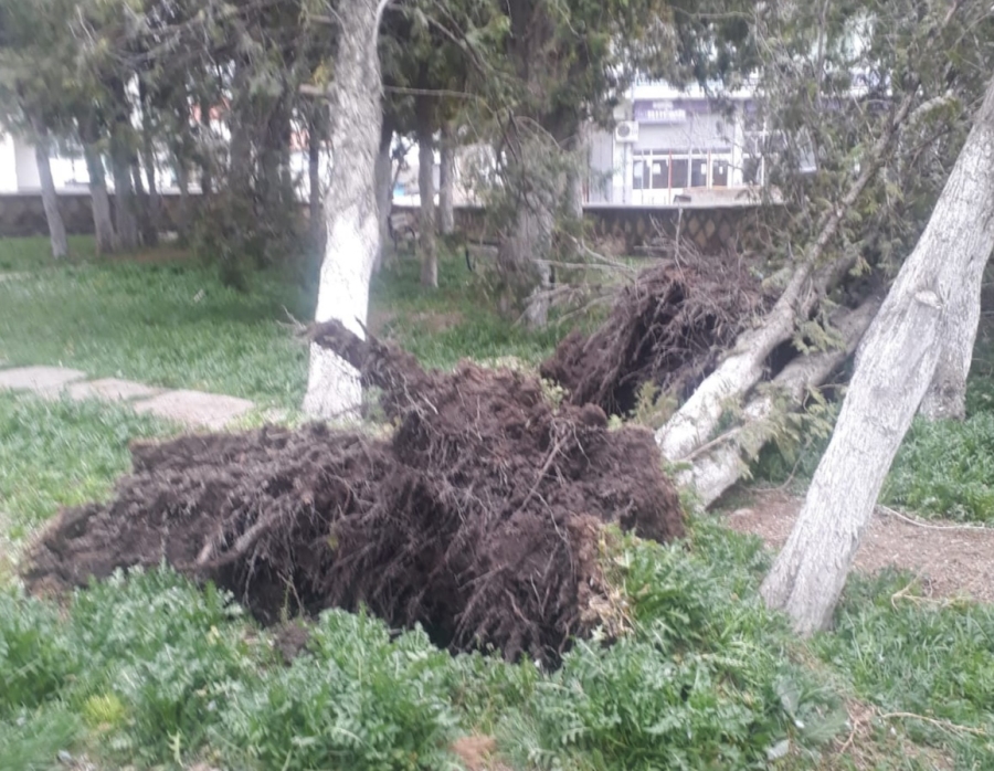 Aksaray