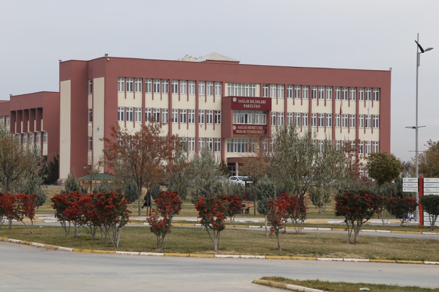 Ağız Diş Sağlığı programının açılması onaylandı
