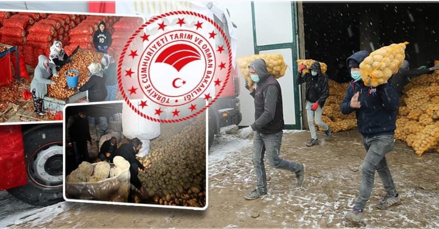 İl Valiliklerine sevk edilen patates ve soğanlar ihtiyaç sahiplerine bedelsiz dağıtılacak