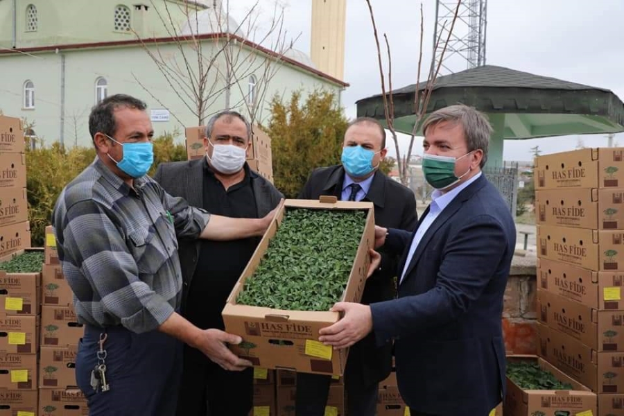 Aksaray