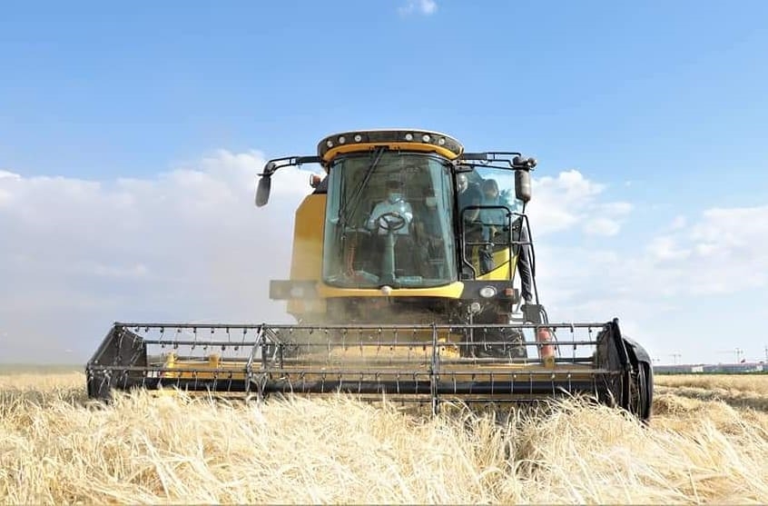 Arpa üretiminde Türkiye’de 7. sıradayız
