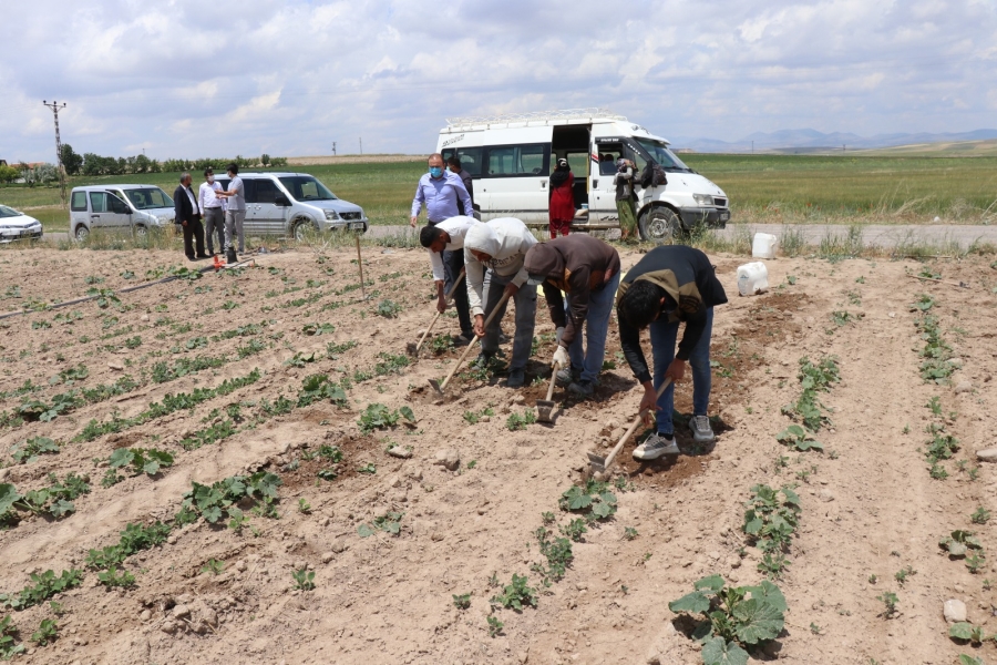 Mevsimlik tarım işçilerinin ihtiyaçları karşılanıyor