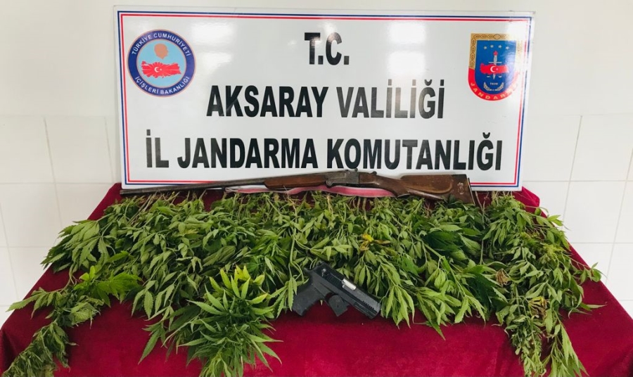 Eskil ilçesinde evinde kenevir yetiştiren şahıs gözaltına alındı