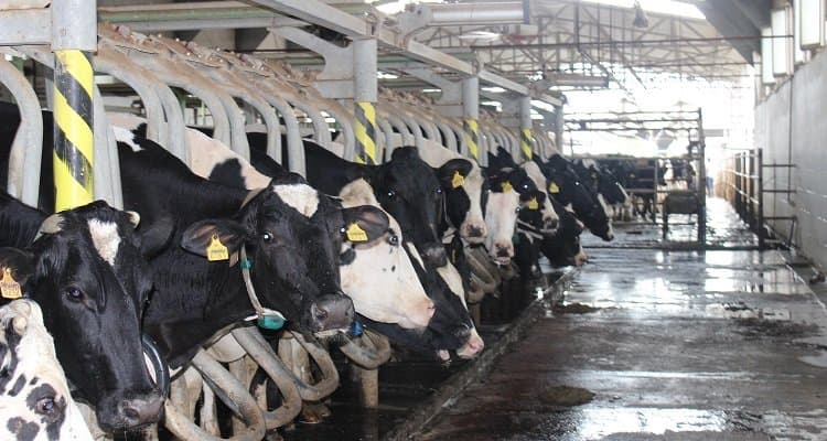 Aksaraylı üreticilerin projelerine 11 milyon 285  bin liralık hibe desteği