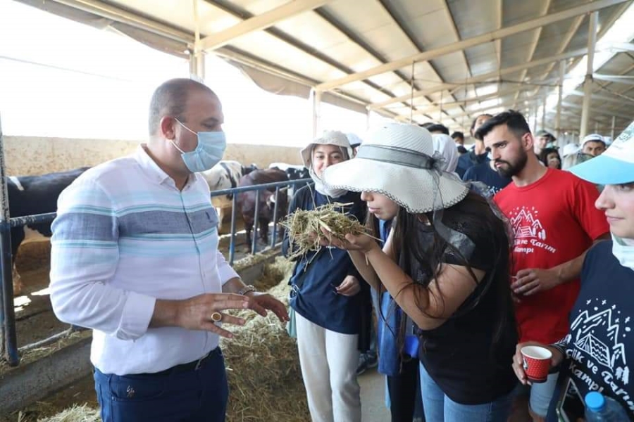 Gençlik ve Tarım Kampı üyeleri tarla ve mandıraları ziyaret etti