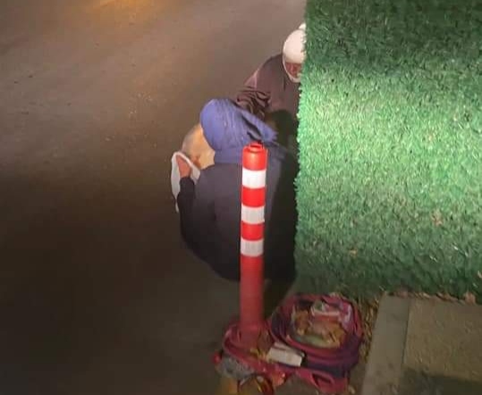 Bu görüntü sizi sakın aldatmasın!Sanki çöpten ekmek yiyormuş gibi...