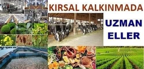 Kırsal Kalkınmada Uzman Eller Projeleri Başvuruları Başlıyor