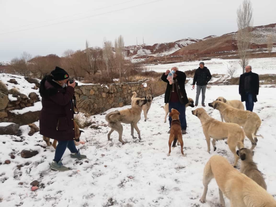 Aksaray