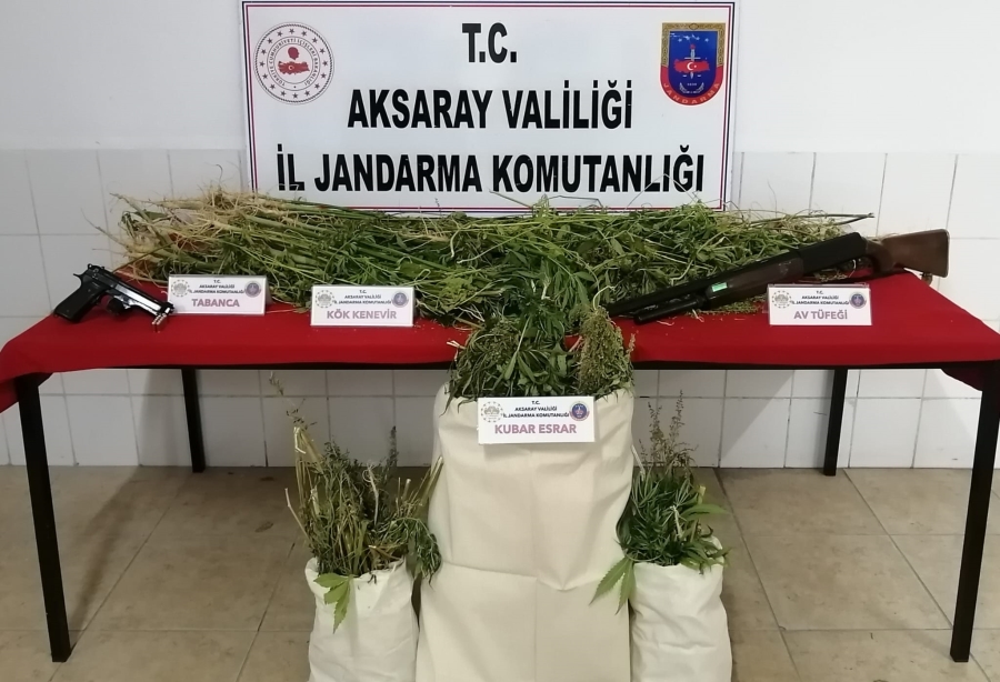 Evinde esrar, mısır tarlasında kenevir ele geçirildi