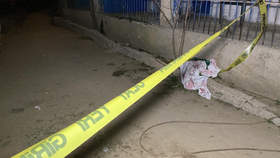 2 hafta önce baba olan ağabeyini ve annesini öldürdü,intihar etti