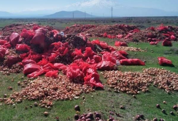 40 ton çürümüş soğanı yol kenarına döken komisyonculara  soruşturma başlatıldı
