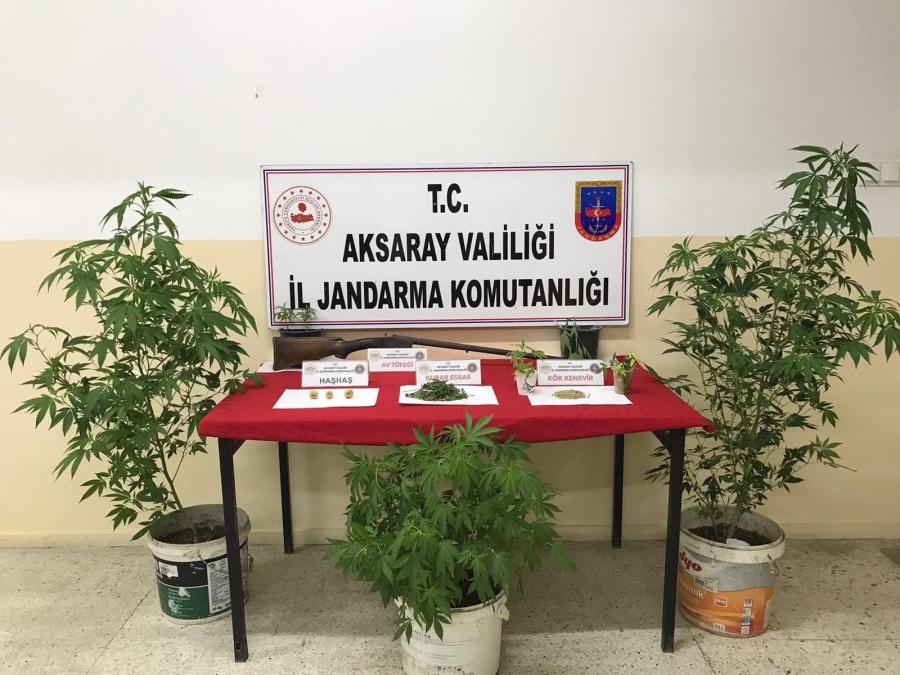 Evinin bahçesini kenevir tarlasına çeviren şahsa operasyon