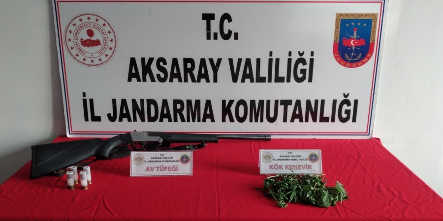 Karkın köyünde yasadışı kenevir ekimi yapan 3 şahıs gözaltına alındı