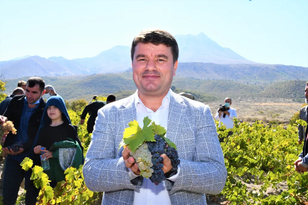 2. Geleneksel Bağ Bozumu ve Pekmez Festivali Başlıyor 