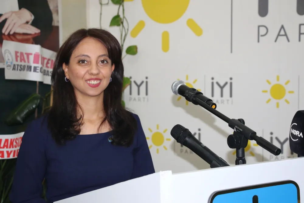 Armağan Öztürk,İYİ Parti