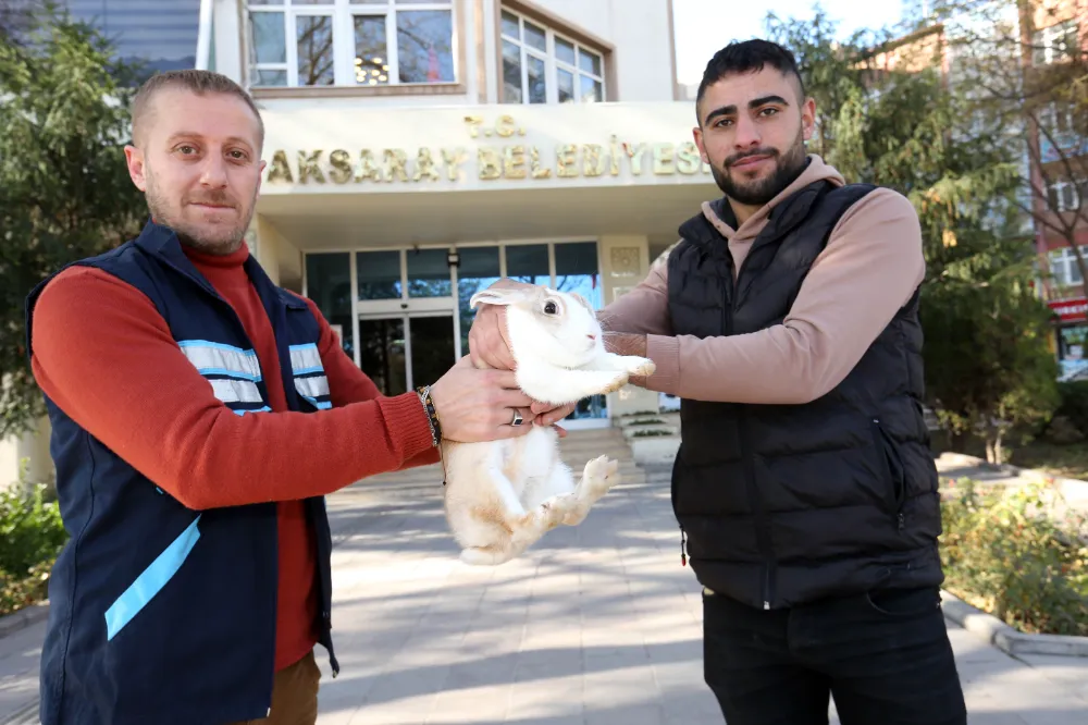 Parkta üşümüş halde buldukları tavşanı Belediyeye teslim ettiler 