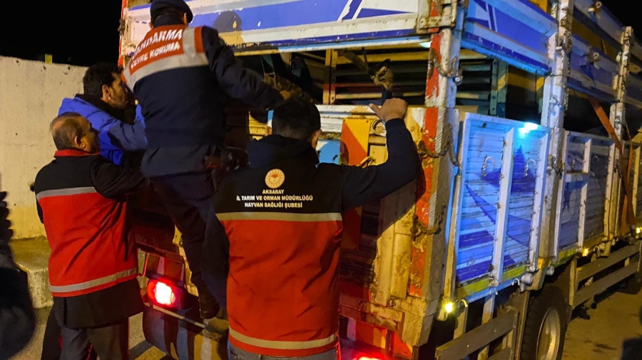 Şap hastalığına karşı jandarma ve veteriner hekimler yolları denetledi