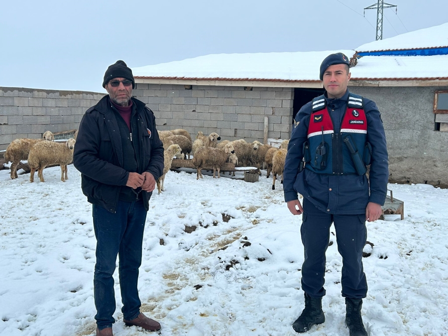 Jandarma kayıp küçükbaş hayvanları drone ile buldu